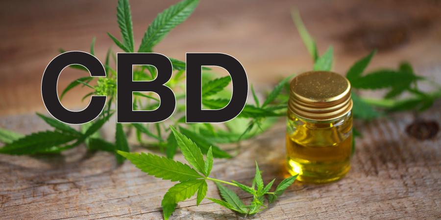 CBD Network – A review of a medical marijuana company