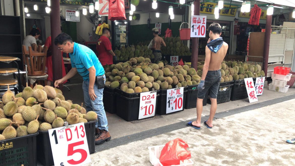 What Is The D13 Durian