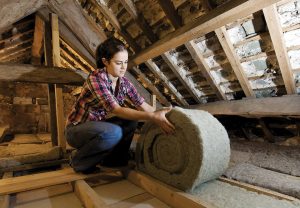 Energy Efficiency: Benefits of Professional American Insulation Removal